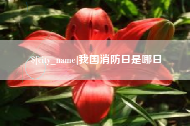 中卫我国消防日是哪日