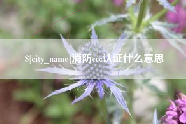 中卫消防ccc认证什么意思