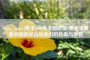 中卫男子5000米全国记录-更是承载着中国田径运动员们的热血与梦想