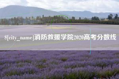 中卫消防救援学院2020高考分数线