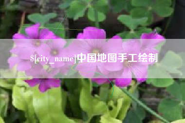 中卫中国地图手工绘制