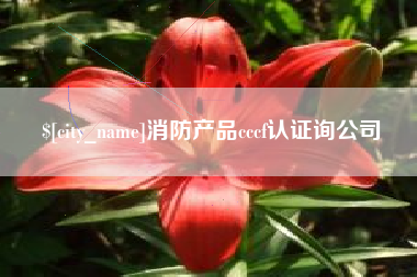 中卫消防产品cccf认证询公司