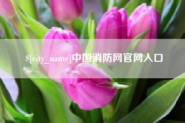 中卫中国消防网官网入口
