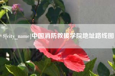 中卫中国消防救援学院地址路线图