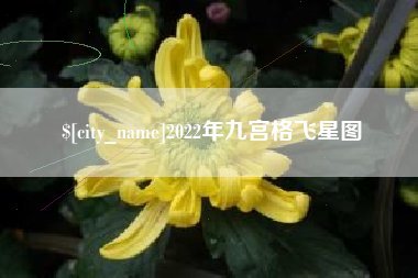 中卫2022年九宫格飞星图