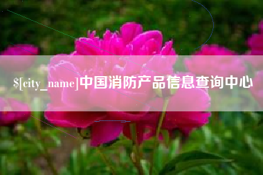 中卫中国消防产品信息查询中心