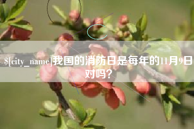 中卫我国的消防日是每年的11月9日对吗？
