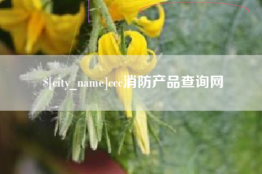中卫ccc消防产品查询网