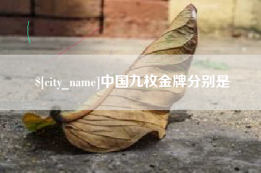 中卫中国九枚金牌分别是