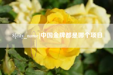 中卫中国金牌都是哪个项目