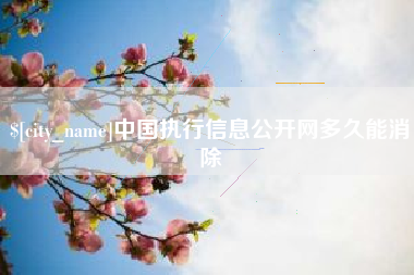 中卫中国执行信息公开网多久能消除