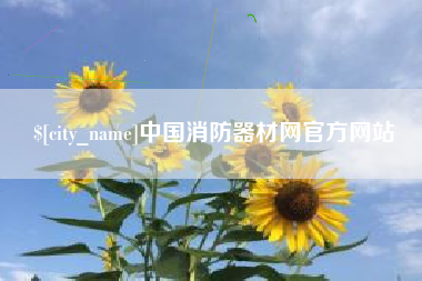 中卫中国消防器材网官方网站