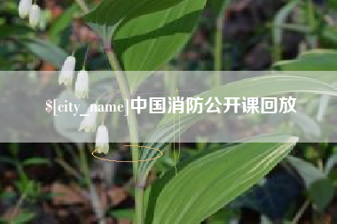 中卫中国消防公开课回放