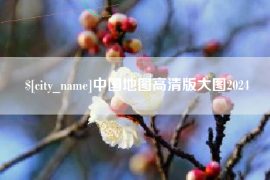 中卫中国地图高清版大图2024