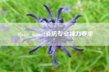 中卫消防专业视力要求