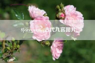 中卫古代九宫图片