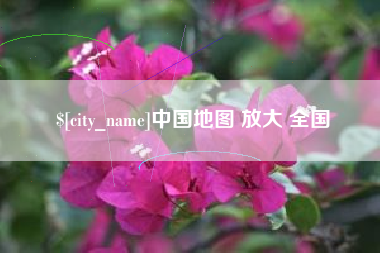 中卫中国地图 放大 全国