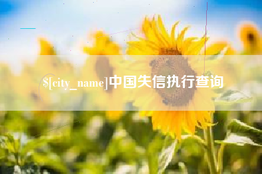 中卫中国失信执行查询
