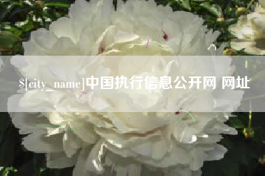 中卫中国执行信息公开网 网址
