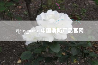中卫中国消防产品官网
