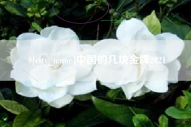 中卫中国的几块金牌2021