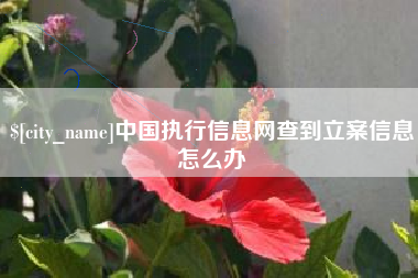 中卫中国执行信息网查到立案信息怎么办