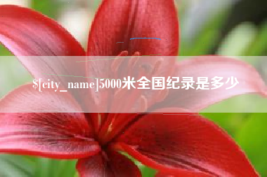 中卫5000米全国纪录是多少