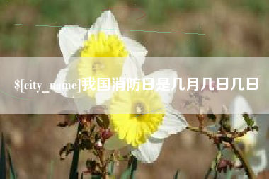 中卫我国消防日是几月几日几日