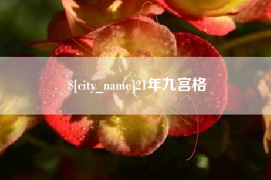中卫21年九宫格