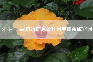 中卫执行信息公开网查询系统官网