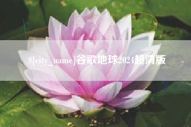 中卫谷歌地球2024超清版