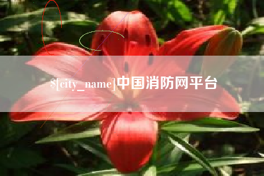 中卫中国消防网平台
