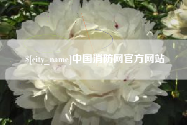 中卫中国消防网官方网站