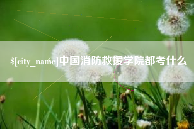 中卫中国消防救援学院都考什么