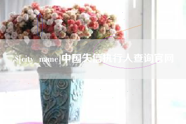 中卫中国失信执行人查询官网