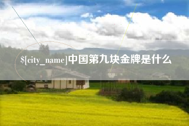 中卫中国第九块金牌是什么