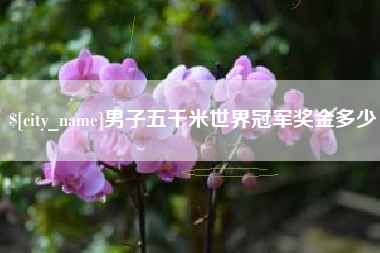 中卫男子五千米世界冠军奖金多少