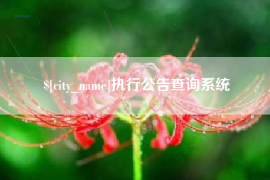 中卫执行公告查询系统