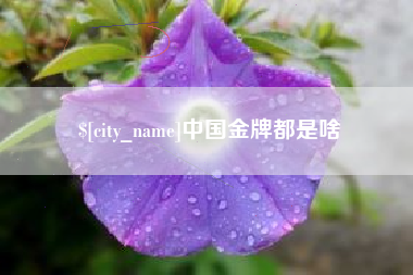 中卫中国金牌都是啥