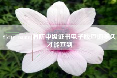 中卫消防中级证书电子版查询多久才能查到