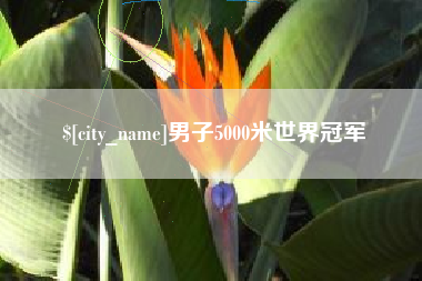 中卫男子5000米世界冠军