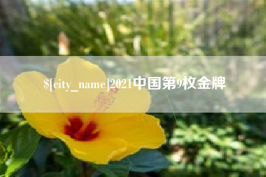 中卫2021中国第9枚金牌