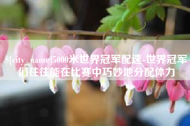 中卫5000米世界冠军配速-世界冠军们往往能在比赛中巧妙地分配体力