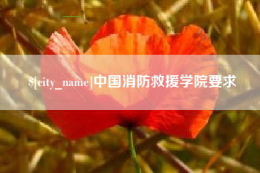 中卫中国消防救援学院要求