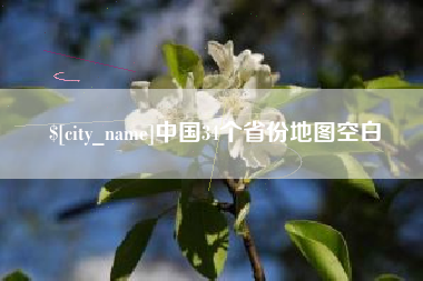 中卫中国34个省份地图空白