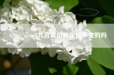 中卫九宫星位是定位不变的吗
