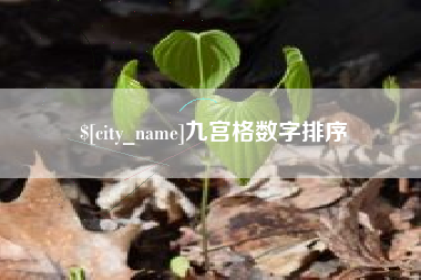 中卫九宫格数字排序