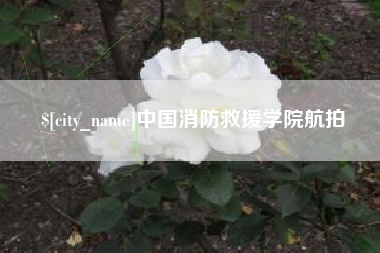 中卫中国消防救援学院航拍