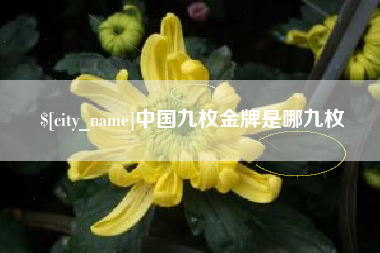 中卫中国九枚金牌是哪九枚