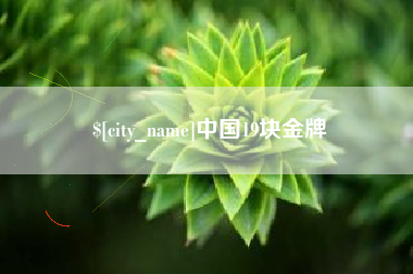 中卫中国19块金牌